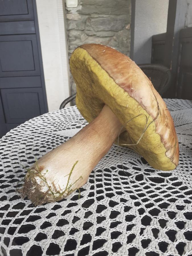 Agroturystyka Lysa Gora Jelenia Góra Esterno foto